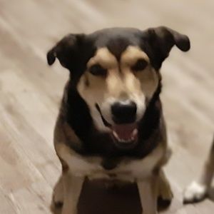 Meet your Posher, Douglas